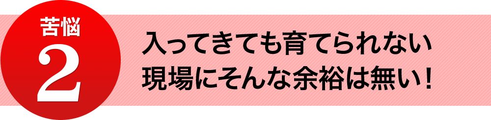 入ってきても育てられない　現場にそんな余裕は無い！